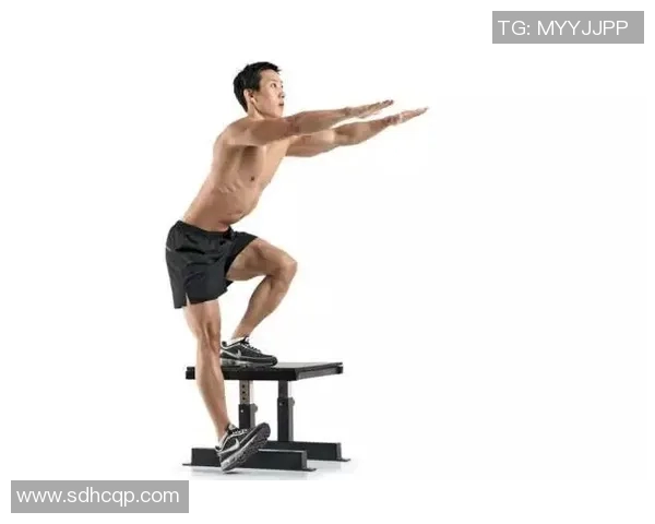 高拉力训练器使用技巧与背部肌肉全面训练方法解析