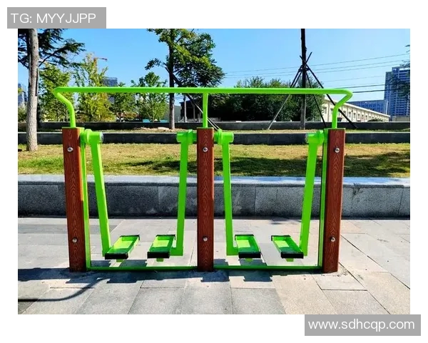 老人专用健身器材种类与使用方式