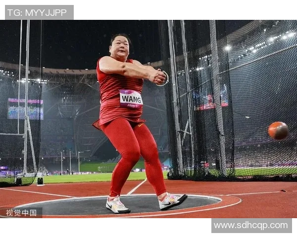 运动员奋斗之路：从梦想起航到巅峰荣耀的艰辛与坚持