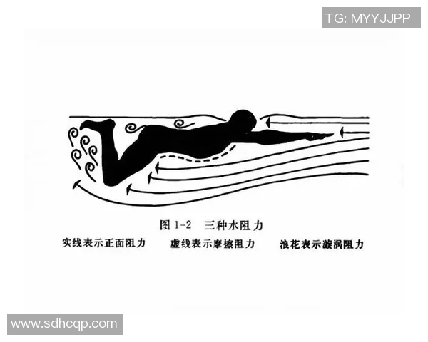 游泳姿势全解析：蛙泳、自由泳、仰泳、蝶泳的技巧与特点