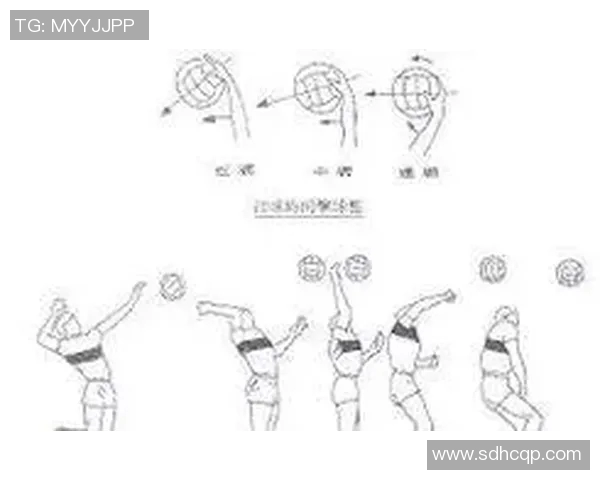 西安排球队的进攻策略揭秘:排球战术深度解析与实战应用 西安排球队的进攻策略揭秘:排球战术深度解析与实战应用